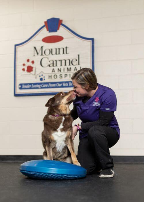 A woman kneels on a blue exercise ball while her dog sits beside her