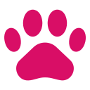6623213_animal_cat_dog_paw_paws_icon paws