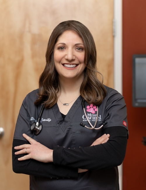 Dr. Allison Gutwillig