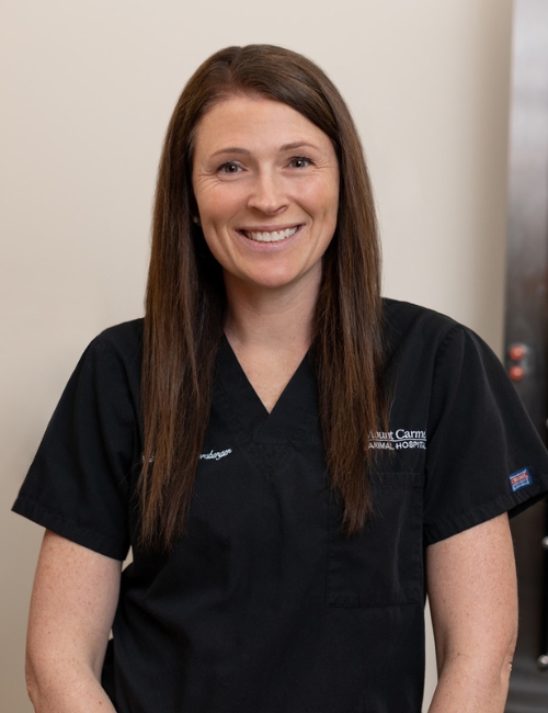 Dr. Lindsay Morsberger