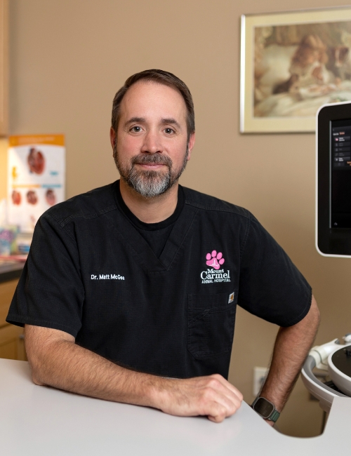 Dr. Matt McGee Dr. Matt McGee