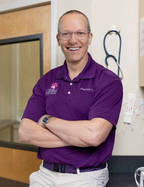 Dr. Paul Fox Dr. Paul Fox