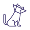 Pet Surgical Services icon