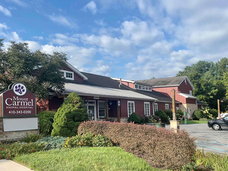Front view of Mount Carmel Animal Hospital building
