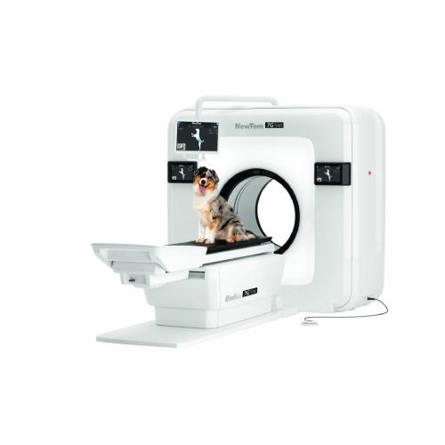 pet-scans Pet CT Scans
