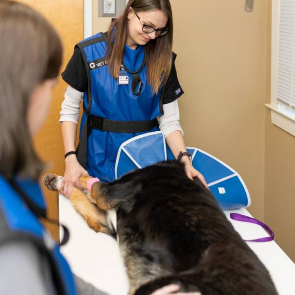 Pet Radiology